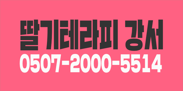 ⭐갯수빵빵/초보가능/당일지급⭐