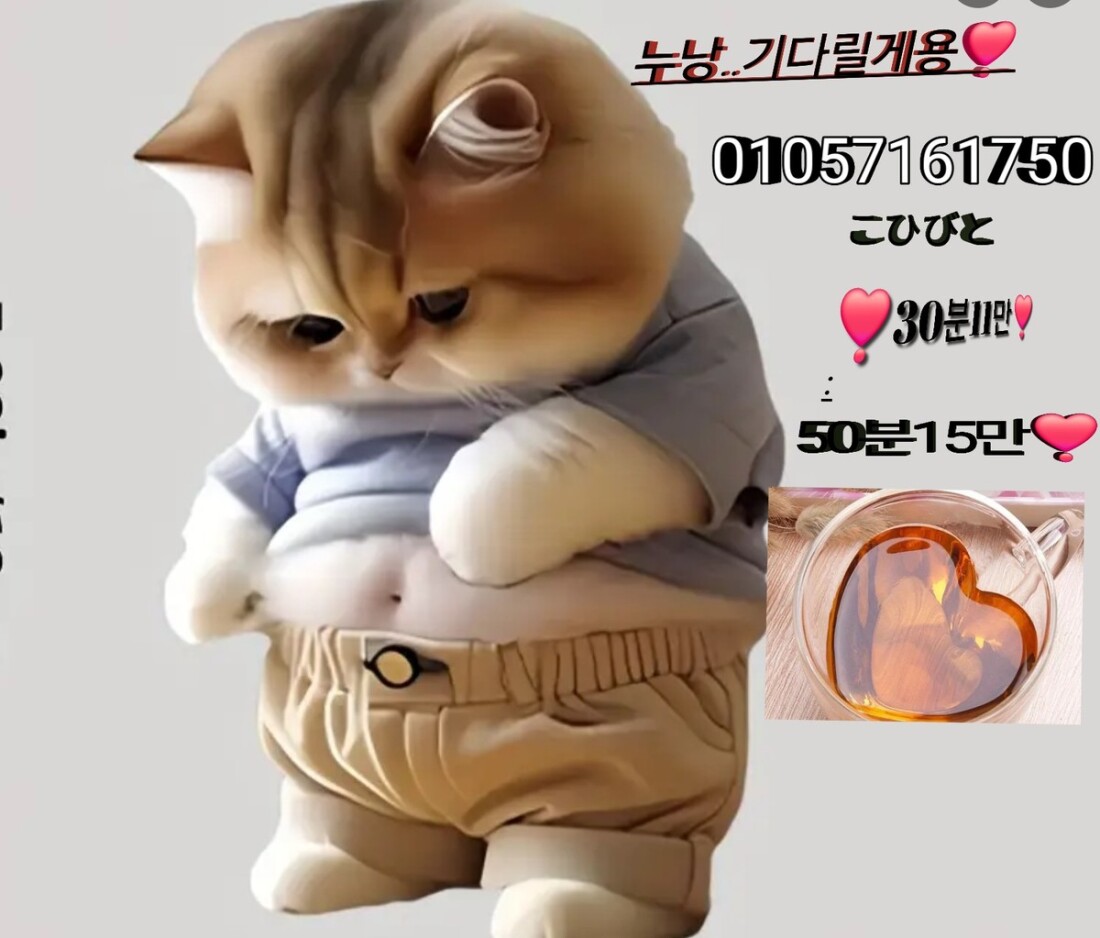 ️️■30분~11!️만■■!️단타!하루백만️■