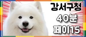 <오늘오픈 페이17까지> 강서구청 핑크문 스웨디시